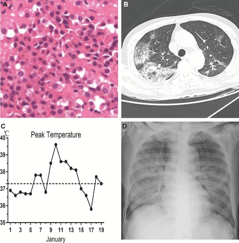 FIGURE 2.