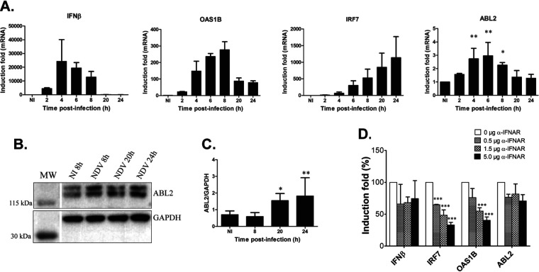 FIG 2