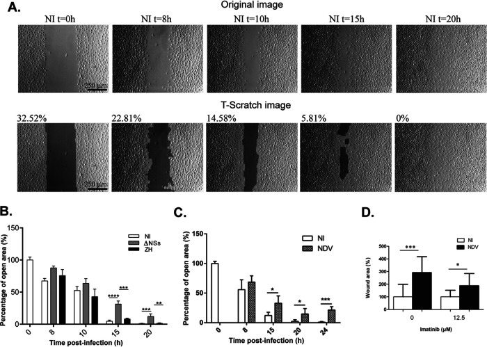 FIG 3