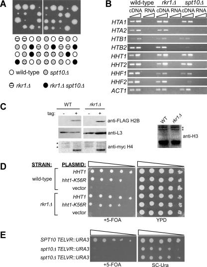 FIG. 6.