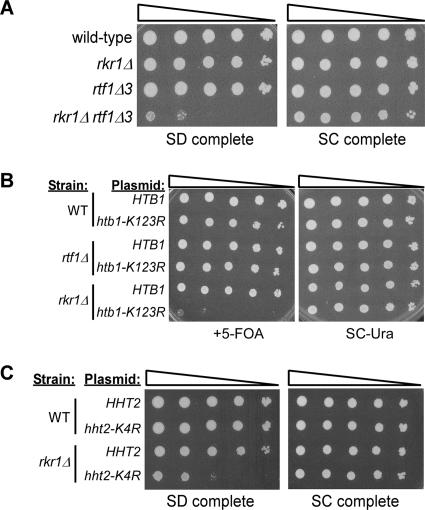 FIG. 4.