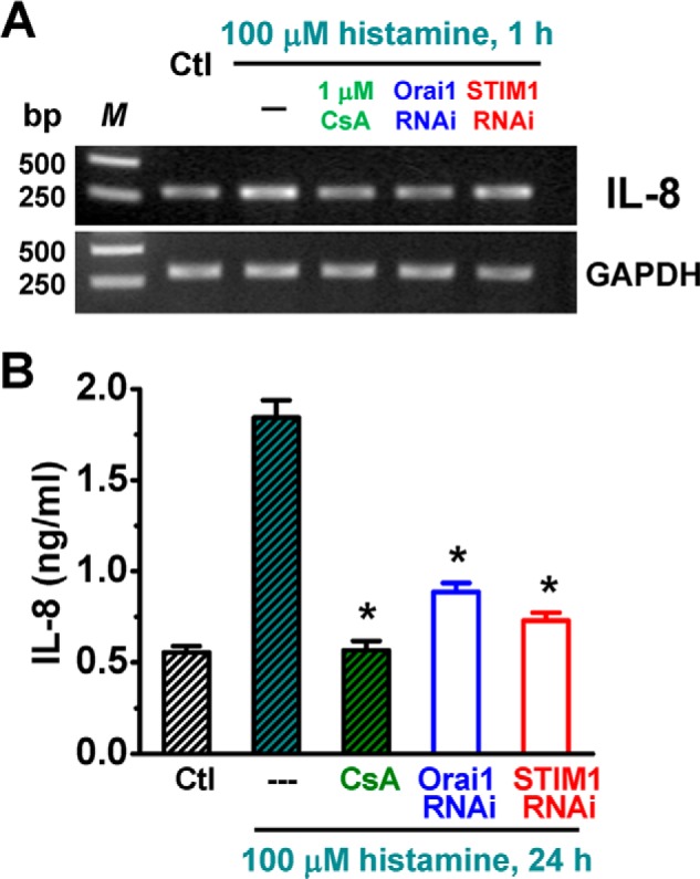 FIGURE 11.