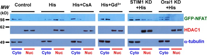 FIGURE 10.