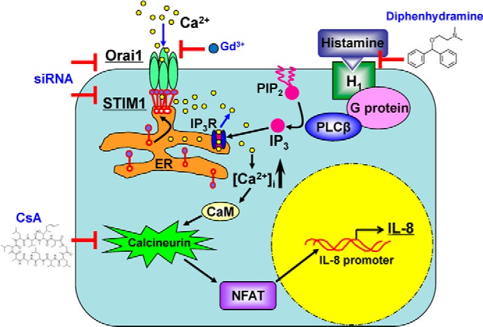 FIGURE 12.