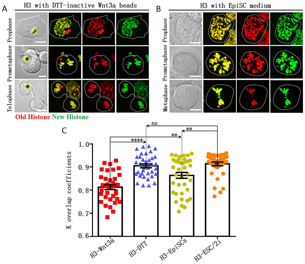 Figure 3: