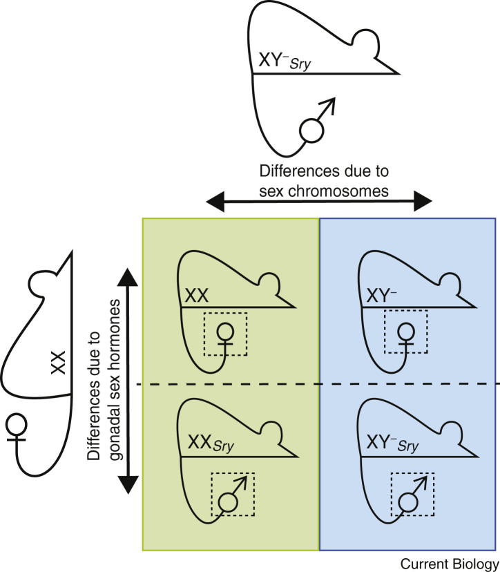 Figure 4