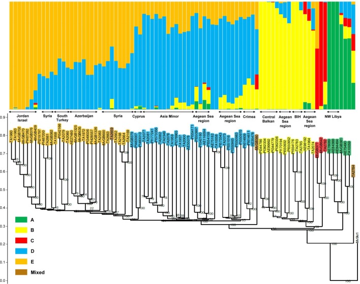 Figure 2