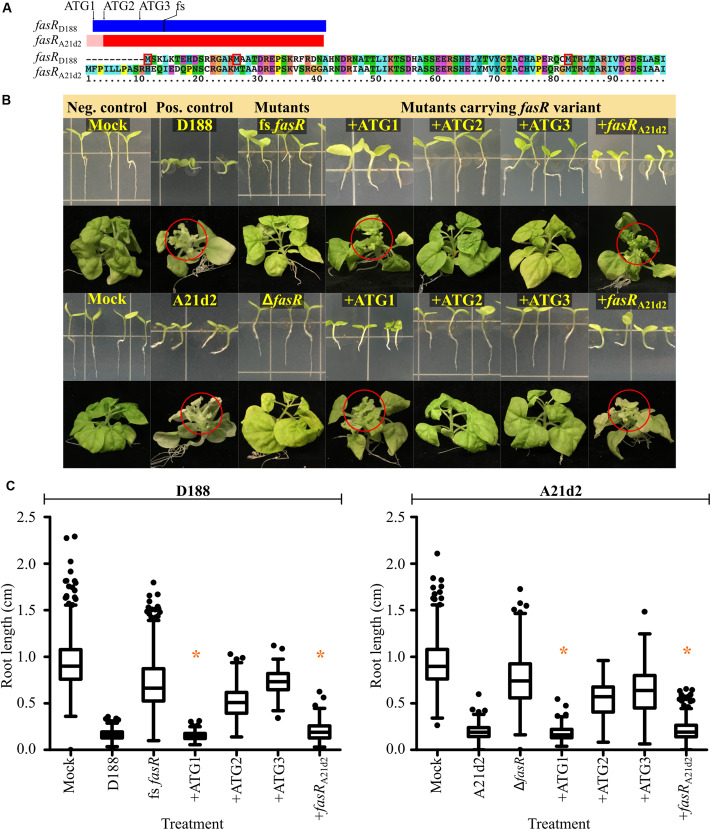 FIGURE 2