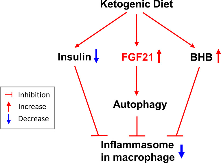 Figure 5