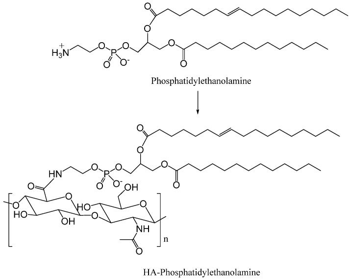 Scheme 5