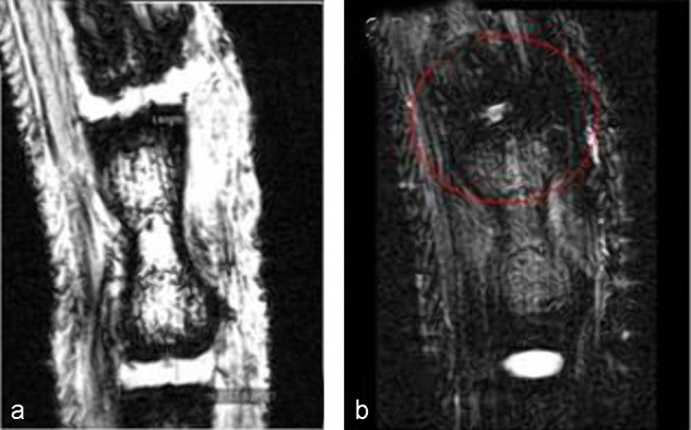 Figure 6 