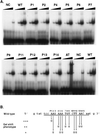 FIG. 14