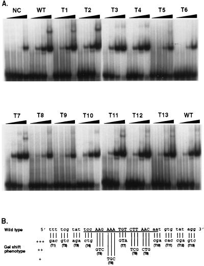 FIG. 13