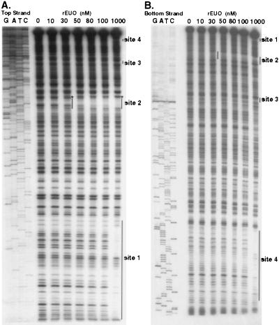 FIG. 9