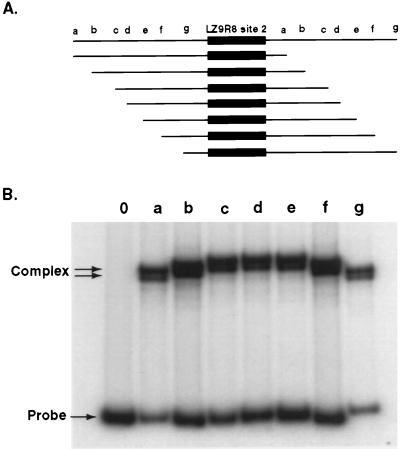 FIG. 11