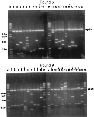 FIG. 5