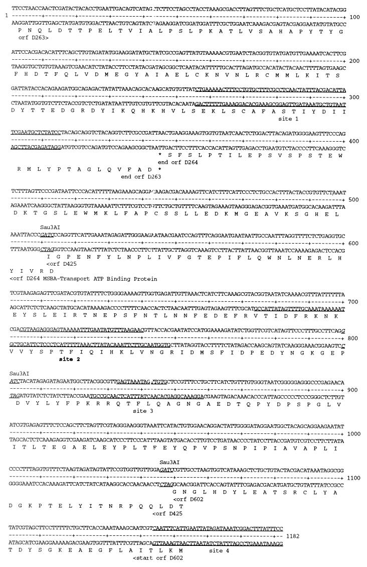 FIG. 7