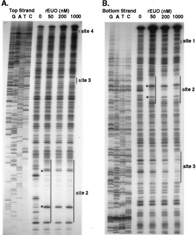 FIG. 10