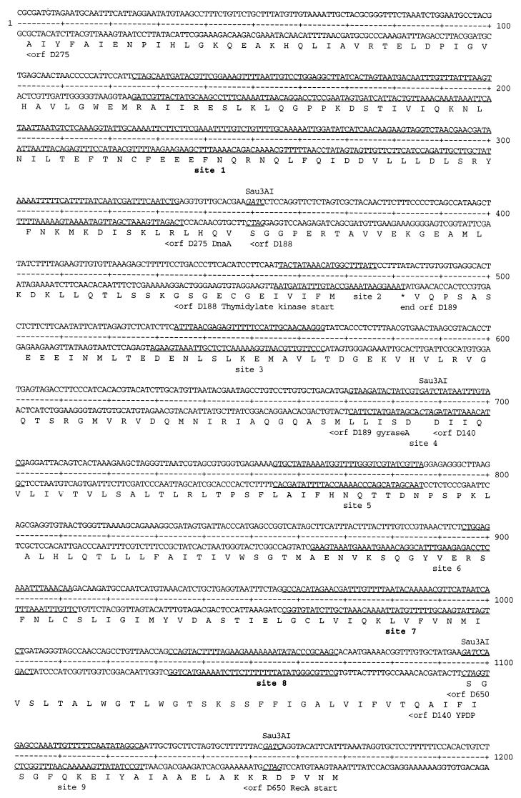 FIG. 8