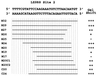 FIG. 12