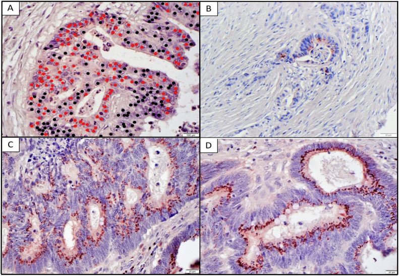 Fig 3: