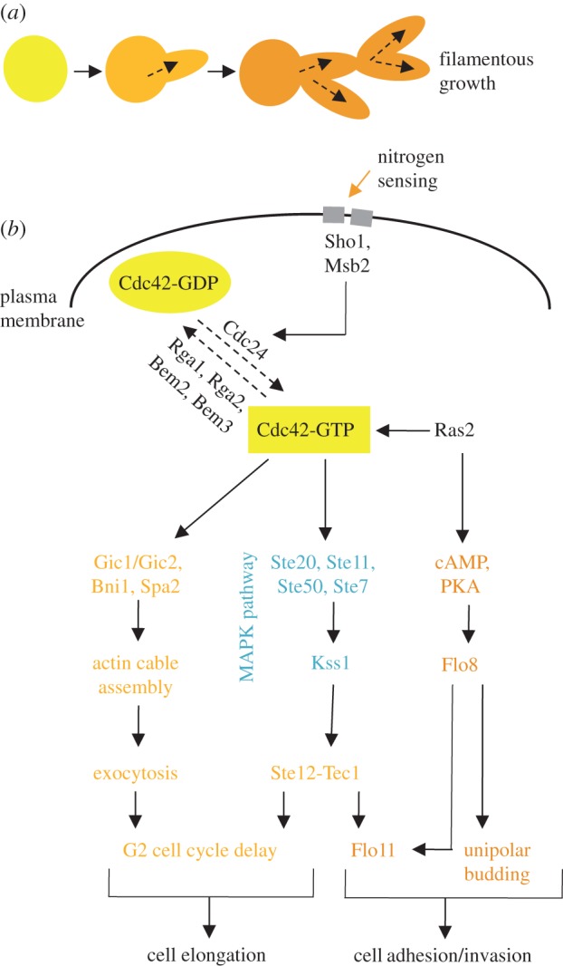 Figure 3.