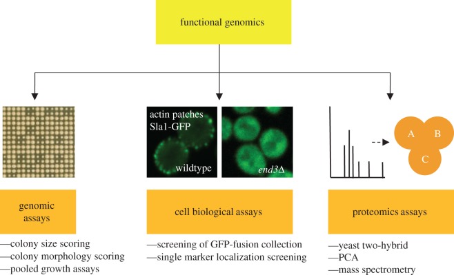 Figure 4.