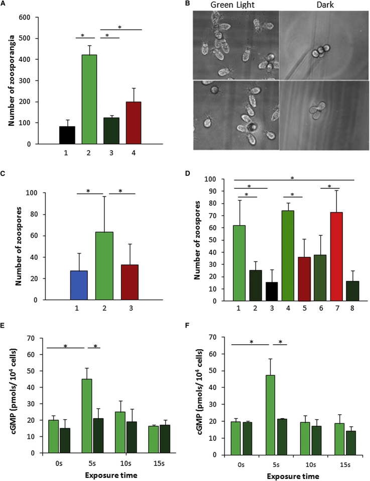 Figure 3