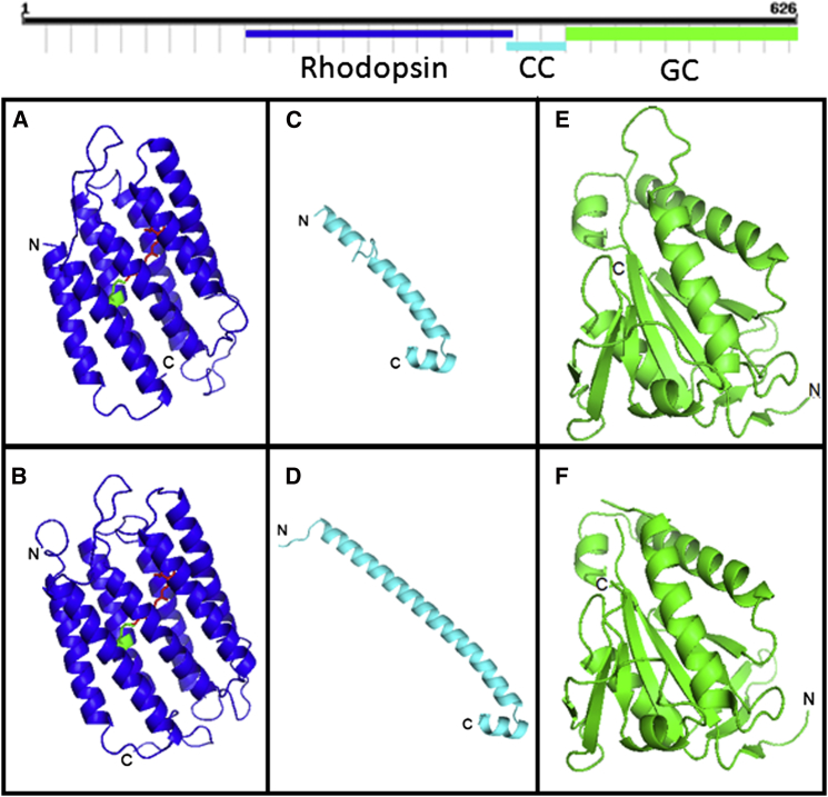 Figure 2