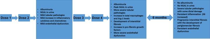 Fig. 10.