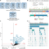Figure 1. Genomic landscape of ATM mutations in non–small cell lung cancer. A, Molecular cohorts and clinical sub-cohort used for analysis, along with the definition of ATM mutations used in the molecular and clinical analyses, respectively. B, Lollipop plot of ATM mutations, along with the distribution of mutation types within ATM. C, Enrichment analysis depicting genes more likely to be co-mutated with ATM (positive log odds ratio, x-axis) or mutually exclusive with ATM (negative log odds ratio) across all five molecular cohorts. The y-axis depicts negative log of the FDR-corrected P value. D, Representative co-mutation plot from the GENIE cohort to visualize ATM mutations, most frequently co-occurring mutations, and tumor mutational burden (TMB; n = 809 samples with ATM mutations). ATM-mt = ATM mutated, ATM-wt = ATM wild-type. Dashed maroon line represents q = 0.25 and dashed red line represents q = 0.1. KRAS, EGFR, and TP53 highlighted in red.