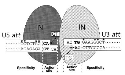 FIG. 5