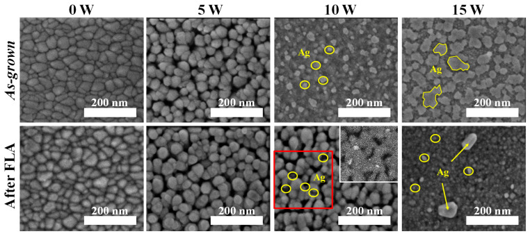 Figure 4