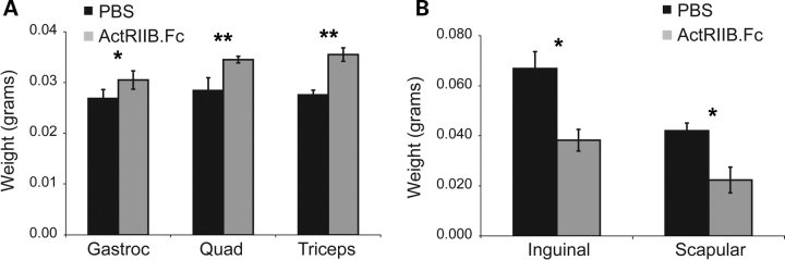 Figure 4.