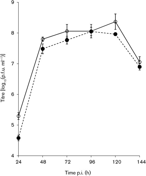 Fig. 5. 