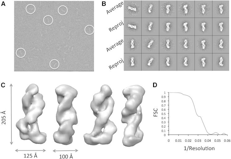 Figure 2