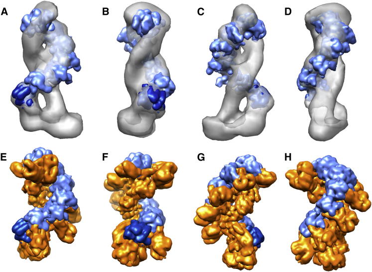 Figure 5