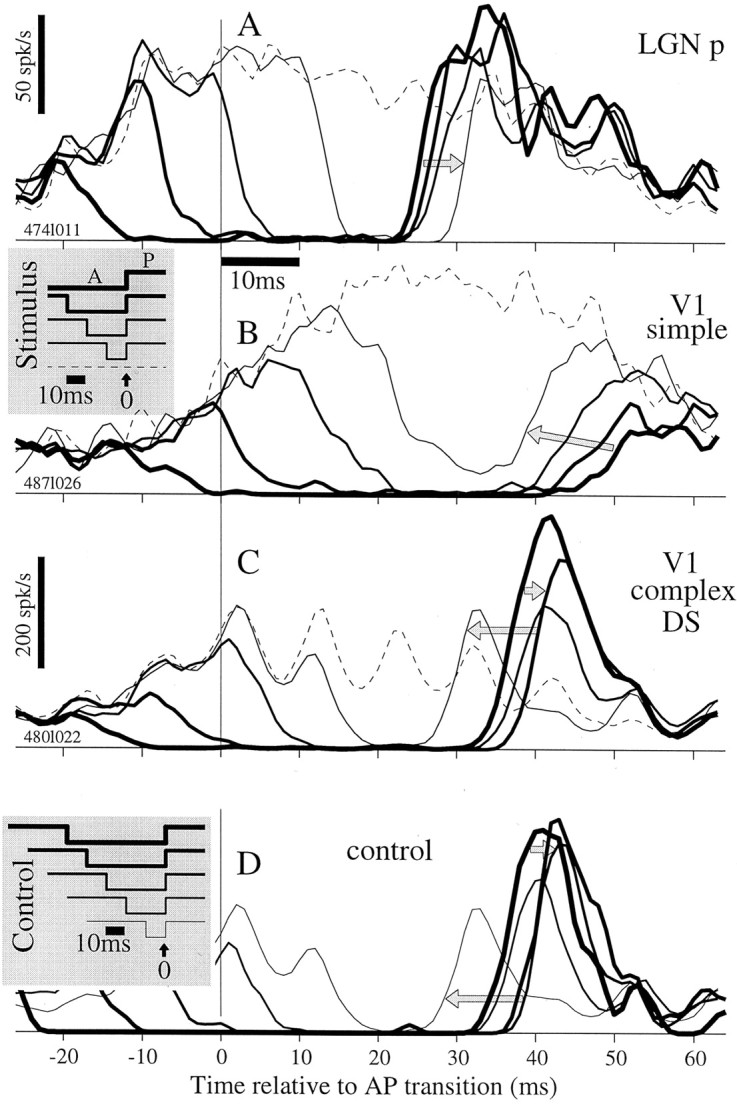 Fig. 10.