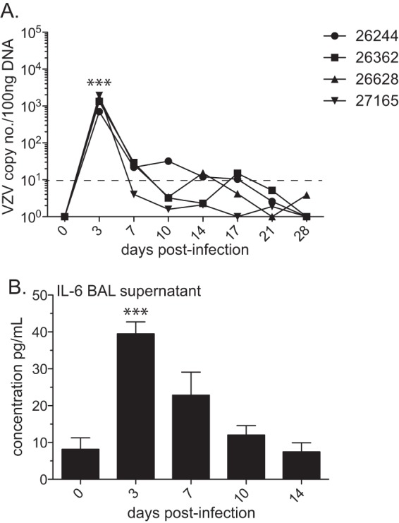 FIG 1