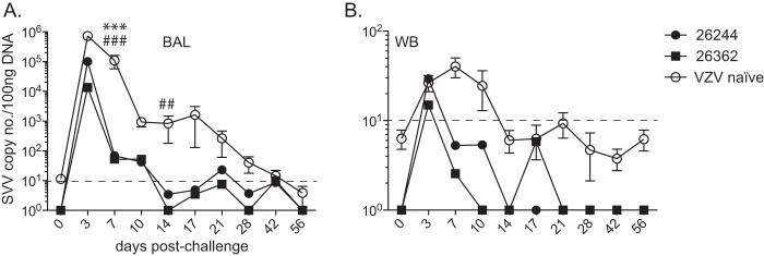 FIG 4