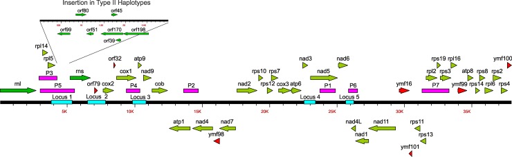 Fig 1