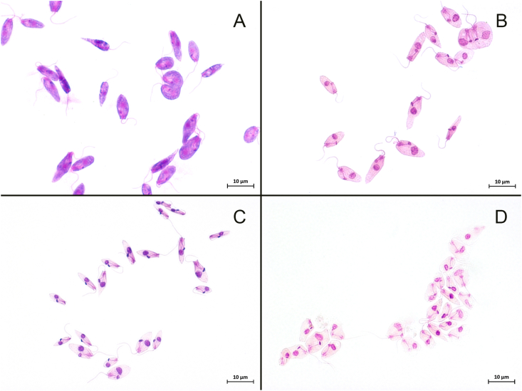 Fig. 2