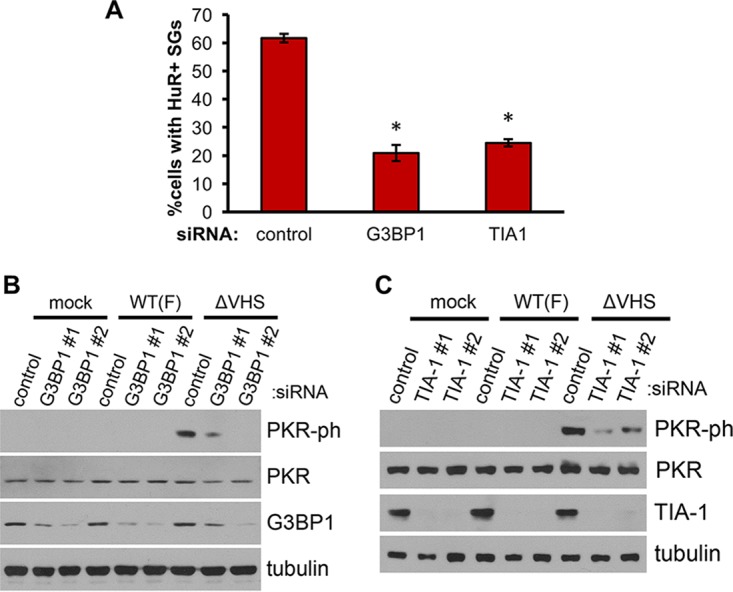 FIG 6