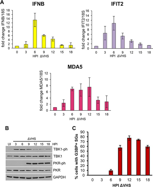 FIG 2