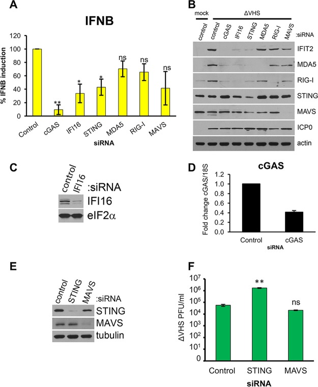 FIG 4