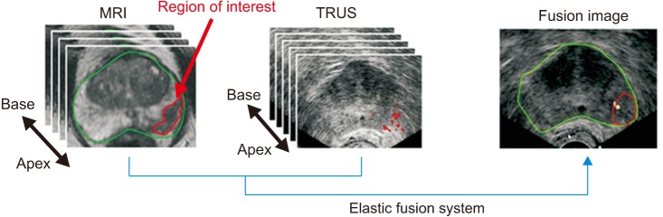 Fig. 3