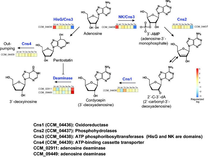 Figure 4.