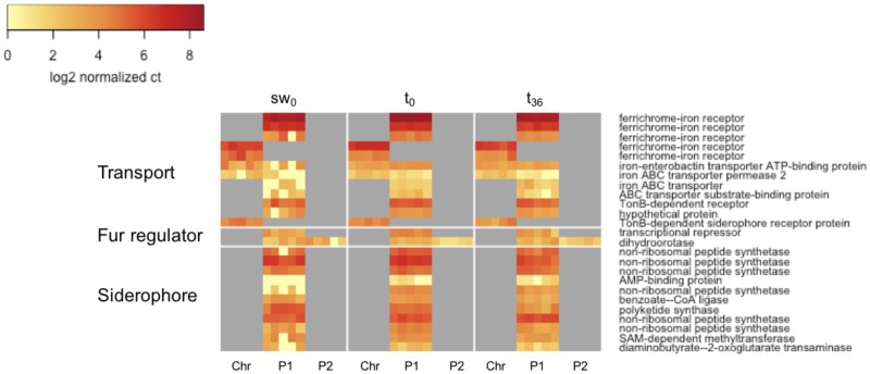 Fig. 7.—