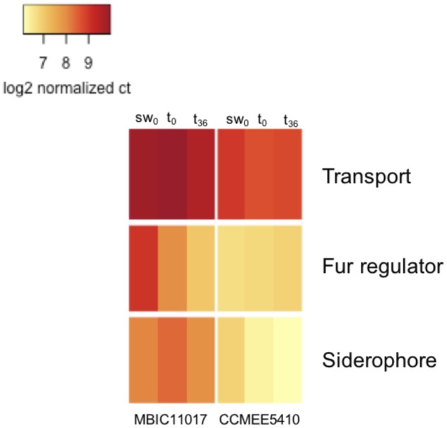 Fig. 4.—