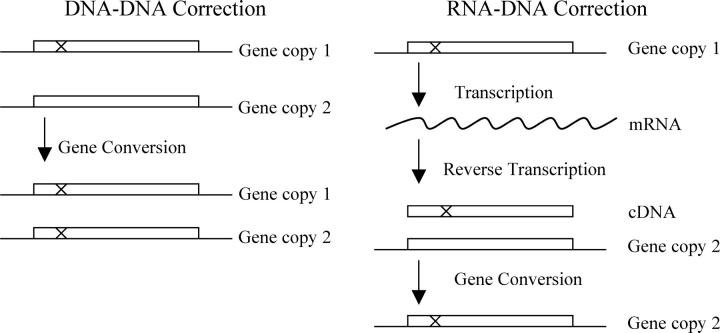 Figure 2.—